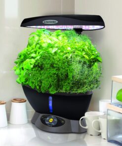 AeroGarden Classic 6 with Gourmet Herb Seed Pod Kit 36 810X4VqM7uL