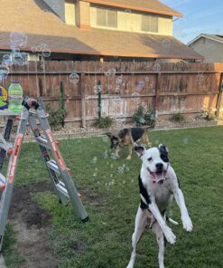 Gazillion Bubbles 2 Liter Solution, Green 2L 24 810at7m06VL