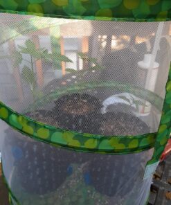 RESTCLOUD Insect and Butterfly Habitat Cage Terrarium Pop-up 12" x 14" Tall 14 810dNo7xeBL