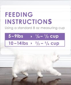 Purina Fancy Feast Dry Cat Food with Savory Chicken and Turkey - 12 lb. Bag Chicken & Turkey 12 Pound (Pack of 1) 34 810dsEQ c7L
