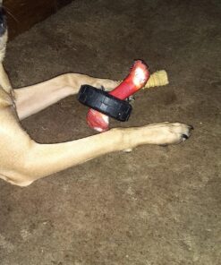 KONG Tires - Durable Dog Chew Toy - Durable Rubber Dog Toy & Treat Dispenser for Power Chewers - Tough Chew Toy for Fetch - Rubber Tire Chew Toy - Medium/Large Dogs Standard Packaging 41 810dzF4ZcwL