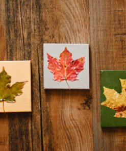 U.S. Art Supply Mini Stretched Canvas 10-Ounce Primed Square Assortment (8-Canvases Square inch Sizes - 1-1/2", 2", 2-1/2", 2-3/4", 3-1/4", 3-5/8", 4", 4-1/2") 35 810ecmFgOL