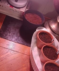 Simple Designs LD1003-WHT Basic Metal Flexible Hose Neck Desk Lamp, White 6.1 x 4.9 x 13.85 1 29 810fXB 39yL