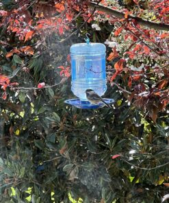 Perky-Pet 780 Outdoor Hanging Water Cooler Bird Waterer and Dispenser,Blue, 1.5 Qt Capacity 40 810gGoxi5ZL