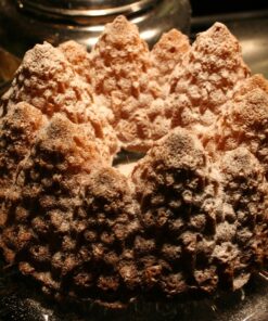 Nordic Ware Pine Forest Bundt Pan, Silver 66 810iHggEIpL