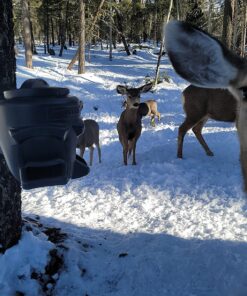 Moultrie Feed Station, Choose Model Feed Station II 34 810iWb59 EL