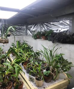 Mylar Reflective Material, 4 Feet x 25 Feet, 2 Mil 13 810ne3Xc6YL