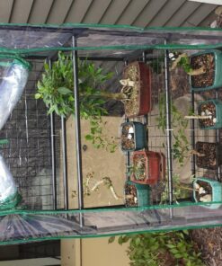 Gardman R687 4-Tier Mini Greenhouse, 27" Long x 18" Wide x 63" High,Black 40 810nuEhUuFL