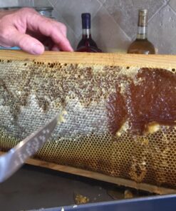 Little Giant Frame Feeder Beehive Frame Syrup Bee Feeder for Beekeeping (3 Quart) (Item No. FRAMEFDR) , Black 11 810rfJEKdUL