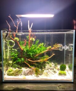 ONF Flat Nano Full Spectrum LED Aquarium Light, Dimmable 7000K / 1300lm, for <10 Gallons Rimless Fish Tanks, Freshwater Aquatic Plant Growth, Terrarium Spotlight, Potted Plant IP54 Waterproof (Silver) Silver 44 810wTp10zBL