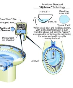 American Standard 2886518.020 H2 Option Siphonic Dual Flush Right Height Elongated Toilet with Liner, White, 2-Piece 11 810yGR5wS6L