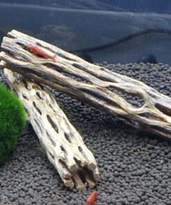 Natural Cholla Wood for Aquarium Decoration, Shrimp, Hermit Crab, Chew Toys for Small Pets (4 Inches Long(Pack of 3)) 4 Inches Long(Pack of 3) 31 8110SolBPmL