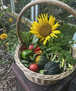 Survival Essentials Ultimate Heirloom Seed Vault, 144 Variety Packed in Superior Ammo Can, Over 23k Garden Seeds for Planting Vegetables and Fruits, for Survival and Emergency Supply, Non-GMO 30 8110k8y5UnL