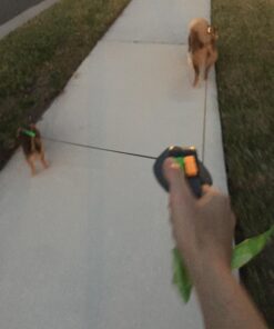 WIGZI (2 Two Dog Reflective Retractable Pet Leash – 360 Degree Zero Tangle Patent - Two Dogs Each up to 50 lbs and 10ft. Reflective Orange and Green Leads. Dual Locking, Small, Gray 34 8111l11Cc5L