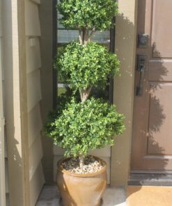 Silk Decor 1 4'TRI Ball Boxwood TOP.(P) GRTT Greenery, 48-in, Two Tone Green 25 81120EEh2EL