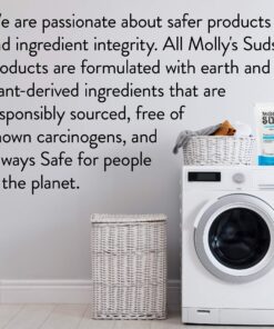 Molly's Suds Original Laundry Detergent Powder | Natural Laundry Detergent Powder for Sensitive Skin | Great Holiday, Christmas Gift | Earth-Derived Ingredients, Stain Fighting | 120 Load (Peppermint) Peppermint 5.01 Pound (Pack of 1) 24 8114HO1BXBL 1