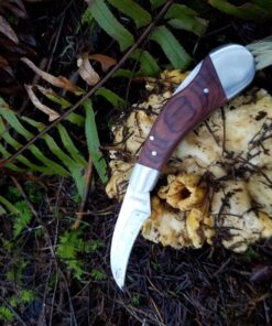 HANZIUP Classic Outdoors Folding Lock Mushroom Knife Fungus Truffles Harvest Hunting Sharp Knives with Neoprene Pouch 18 8117r6LY4JL