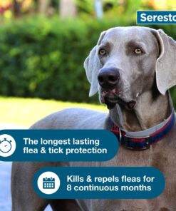 Seresto Large Dog Vet-Recommended Flea & Tick Treatment & Prevention Collar for Dogs Over 18 lbs. | 8 Months Protection 1 Pack Large Dog Only 26 8118LxgSYlL