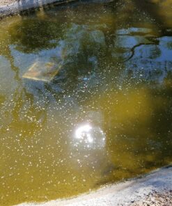 Survivor Filter Pro Hand-Pump Portable Water Filter - Lightweight Water Filter Camping, Backpacking, and Hiking - Water Purifier Survival - 0.01 Micron Ultra Filter 43 811BvrYXfGL