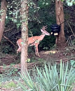 Moultrie Feed Station, Choose Model Feed Station II 27 811CNRAfIJL