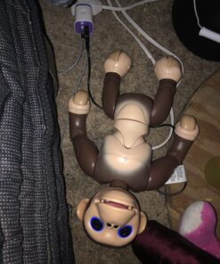 Zoomer - Chimp Standard Packaging 38 811DANX1tmL