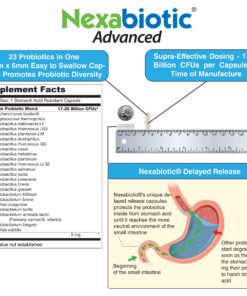 DrFormulas' Best Probiotics for Women & Men | Nexabiotic Multi Probiotic with Saccharomyces Boulardii, Lactobacillus Acidophilus, B. infantis, Prebiotic 60 Count Capsules (Not Pearls) Unflavored for Men and Women 60 Count (Pack of 1) 24 811DFBMk aL