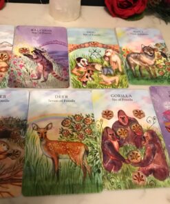 The Animal Wisdom Tarot: An inspirational guide to using tarot cards and their meanings 22 811DNwVkRcL