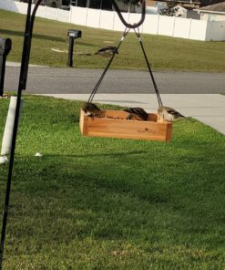 Wild Wings WWCF23 Cedar Tray Bird Feeder 41 811Gf0mCzZL