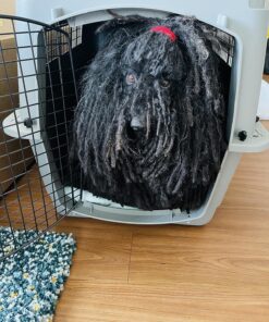 Petmate Sky Kennel Pet Carrier, 32 Inch, Gray, Made in USA 29.5"L x 19.8"W x 23.5"H 34 811IhD QgqL 1