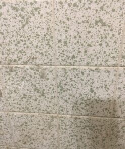 ARTEZA Outdoor Acrylic Paint Set, 20 Colours, 59 ml Bottles, with Storage Box, Rich Pigments, Multi-Surface Paints for Rock, Wood, Fabric, Leather, Paper, Crafts, Canvas and Wall Painting 20 x 59ml (2 fl oz) Outdoor 40 811MaYQa0OL