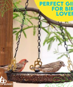 Hanging Bird Feeder Tray with Strong Double-Loop Hanging Chains Steel Hanging Platform Bird Feeder Dish 9.25 Inch (Dia) with 19 Inch Chains, Gifts for Mom, for Women 1 Pack Round 21 811RHsS7VDL