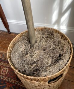 Panacea Spanish Moss, 8 oz (250 cubic Inch), Natural, Brown 13 811SOXNzF4L