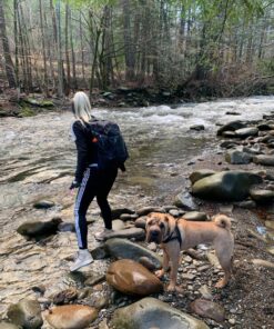 Osprey Daylite Plus Black One Size 55 811SjOGiEML