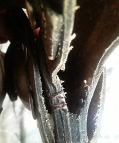 Ottoza Handmade D2 Steel Tracker Knife - Survival Knife - Camping Knife - Outdoor Knife - D2 Tools Steel Hunting Knife with Sheath Horizontal Carry Fixed Blade Knife No:116 Classic 37 811TEKN 4yL