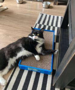 Catit Cat Scratcher, Wide Cat Board 32 811TH7NNXlL