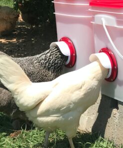 RentACoop 20 Pounds BPA-Free Chicken Feeder with Large Ports - Includes Lid, Anti-Roost Cone, Rain Hoods - Suitable for Chickens - Center Placement 22 811UHabZyWL