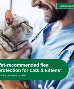 Advantage II Small Cat Vet-Recommended Flea Treatment & Prevention | Cats 5-9 lbs. | 4-Month Supply 4 Pack Small Cat only 22 811Wy2SnO4L 1