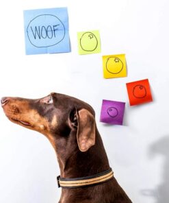 Post-it Super Sticky Notes, 3x3 in, 5 Pads, 2x the Sticking Power, Blue Sapphire, Recyclable (654-5SSBW) Mediterranean Blue 31 811XPw2cGOL