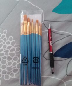 Amazon Basics Paint Brush Set, PBT Paint Brushes for Acrylic, Oil, Watercolor, 10 Brush Sizes 1 42 811Y onx0iL