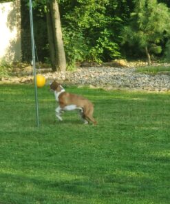 Park & Sun Sports Permanent Outdoor Tetherball Set with Accessories 2-Piece Pole 14 811asb5cQPL