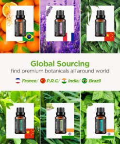 Onepure Essential Oils, 6 x 10ml Essential Oils Gift Set for Diffuser Humidifier Massage Aromatherapy (Lavender, Tea Tree, Eucalyptus, Lemongrass, Orange, Peppermint) 6 Scents 21 811atZ3OtAL