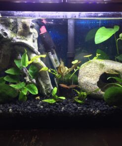 Penn-Plax Standard Airline Tubing for Aquariums – Clear and Flexible – Resists Kinking – Safe for Freshwater and Saltwater Fish Tanks – 25 Feet 32 811ayDNW0KL