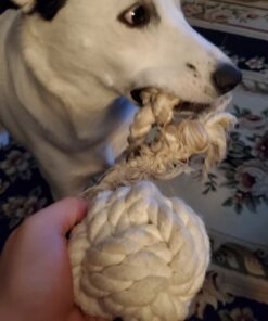 Ravenox Natural Twisted Cotton Rope | Made in The USA | Strong Triple-Strand Cordage for Sports, Décor, Pet Toys, Crafts, Macramé & Indoor Outdoor Use| by The Foot & Diameter (Multiple Color) Natural White 5/8 Inch x 10 Feet 23 811azK11ekL