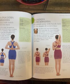 B.K.S. Iyengar Yoga: The Path to Holistic Health Hardcover 7 811gUZDoYqL