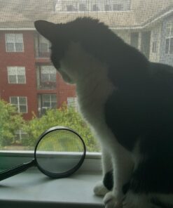 U.S. Toy US Toy One Jumbo 9" Plastic Magnifying Glass, Black 24 811gbb18caL