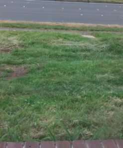 BLACK+DECKER 20V MAX String Trimmer/Edger Kit, 10-Inch (LST201) 32 811hZk1wGGL