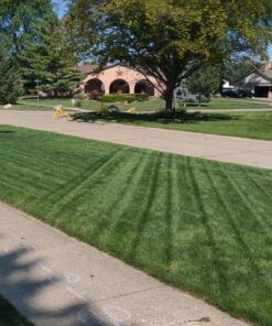 Root Ruckus Compost Fertilizer Organic - Turbo Charged Compost for Plants (32 oz) - Humic Acid & Sea Kelp Nutritional Root Supplement for Lawns, Soil, Shrubs & Vegetables 1 Quart 26 811lGfSNJL