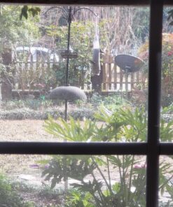 More Birds Finch Sock Bird Feeder, Nyjer or Thistle Seed, 2 lb Seed Capacity, 2 Pack 16 811od4wtvoL