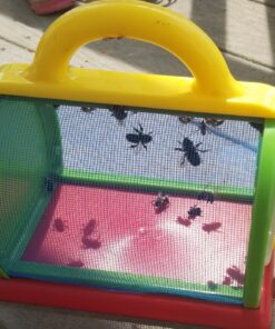 Toysmith: Outdoor Discovery Critter Case by Toysmith - Backyard Nature Exploration To Catch & Release Bugs & Insects to Study Up Close 24 811qs1RX FL