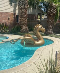 Luxy Float Inflatable Pool Float, Large Water Pool Toys for Adults and Family, Swimming Pool Floats for Party Fun Dragon 39 811sC4bHA1L